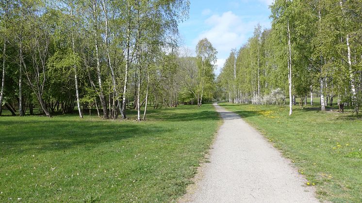 Bilkaos hotar harmonisk promenad