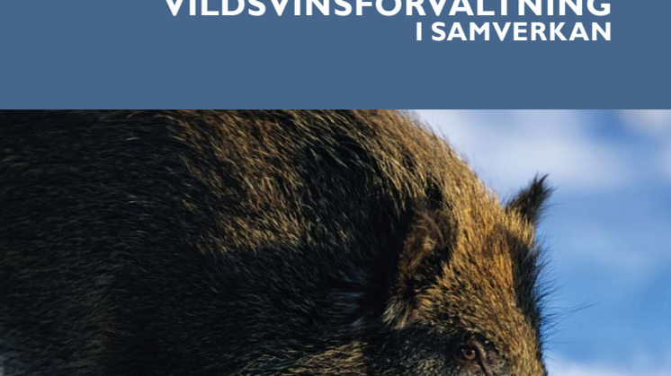 Vildsvinsförvaltning i Samverkan