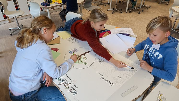 Louisenlund Forschercamp MINT Akademie Grundschule