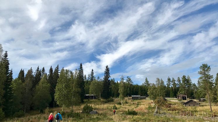 Ärteråsen 1 @LottaBacklund