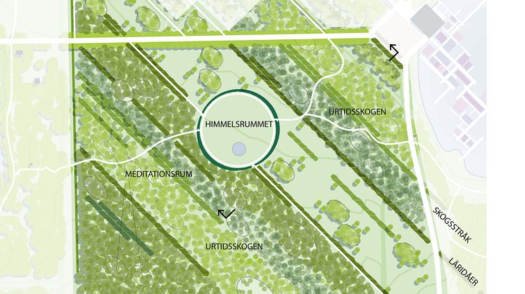 Millennieskogen - illustrationsplan