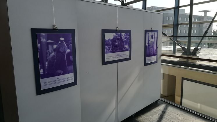 Some of the photographs on display at the Senedd | Rhai o'r lluniau sy'n ymddangos yn y Senedd