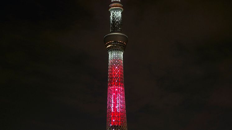 TOKYO SKYTREE Mickey Mouse Light-up