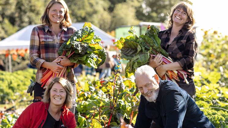 Skördefest! Ovan, fr v, Johanna Karlén och Karin Saler, odlingsutvecklare. Nedan, fr v,  Johanna Frelin, vd på Riksbyggen och Fredrik Kjos (m), kommunstyrelsens ordförande i Upplands-Bro kommun. Foto: Johanna Hanno