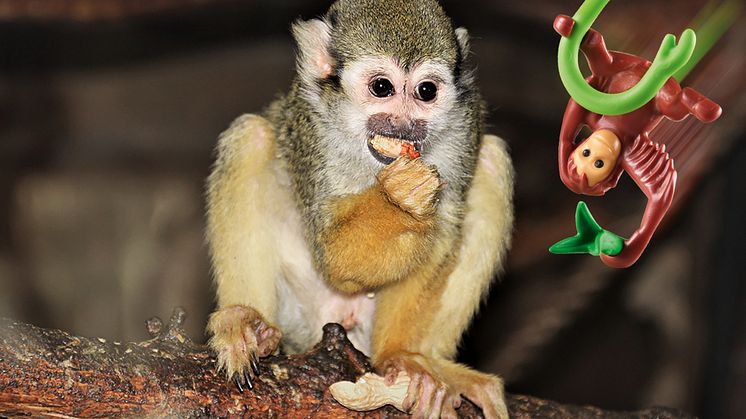 Vom 29. Juni bis 31. August 2020 laden PLAYMOBIL und der Tierpark Germendorf zum großen Zoo-Quiz ein.