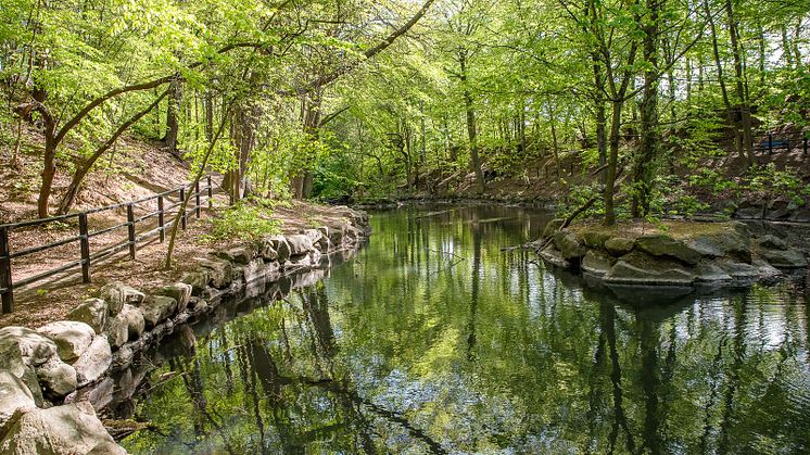 Jordbodalen med den porlande Gåsebäcken är ett naturreservat centralt i staden