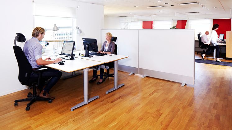 Akusto Screen Head Office