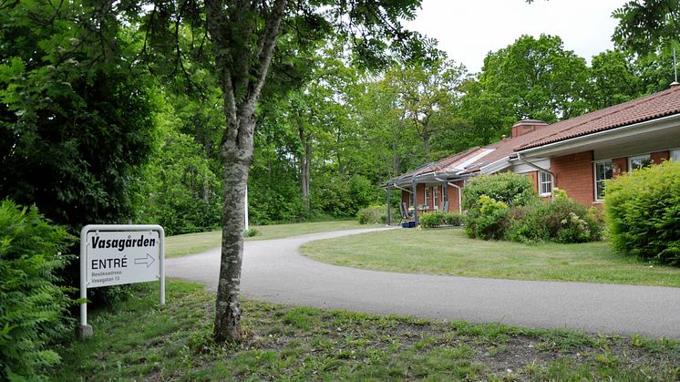 Dzenana_Basic_Wasagården_Figeholm_2022_01
