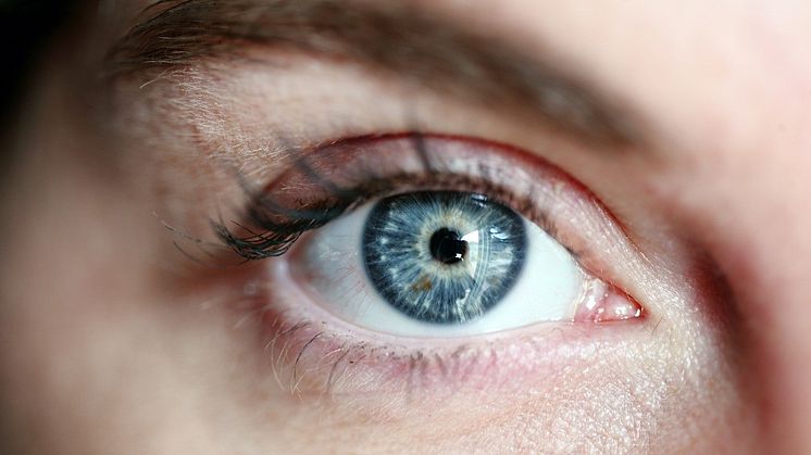 Ögats främre kammare kan bidra till den medicinska forskningen. Foto: Pixabay