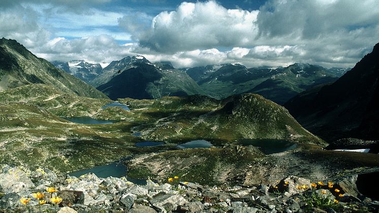 Die Macun-Seenplatte im Schweizerischen Nationalpark 