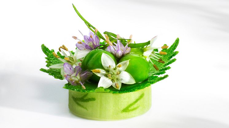 Bocuse D'or Europe 2020 Krispigt ärtblad 