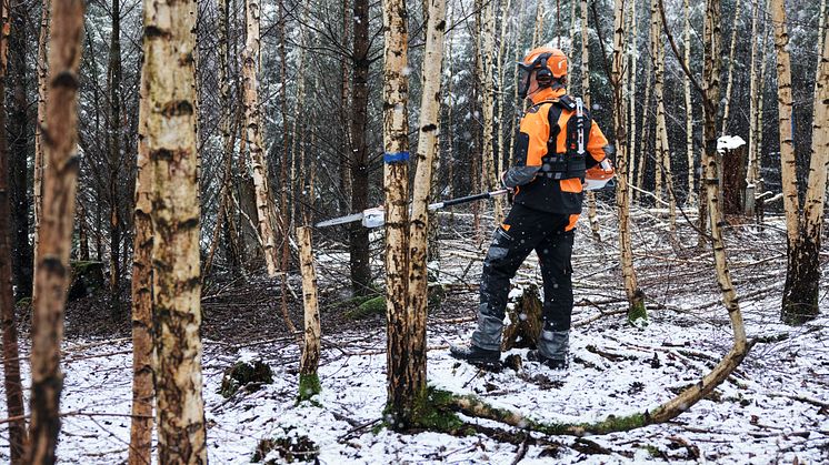 Batteristamkvistaren HTA 150 för skogsägare och skogsbrukare är det första batteriverktyget från STIHL som är framtaget speciellt för skogsvårdsarbete.