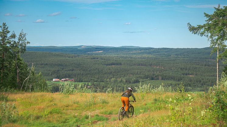 Kungsberget_24augusti-57.jpg