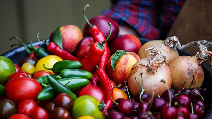 Enligt EAT Lancet-rapporten behöver den global konsumtionen av frukt, grönsaker, nötter och baljväxter dubblas, och konsumtion av livsmedel som rött kött och socker behöver minskas med mer än 50%. 