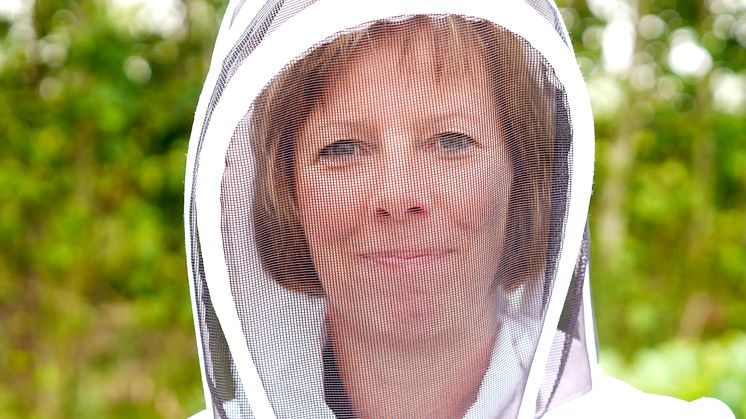 Viktoria Bassanis bin pollinerar runt om på Söderslätt
