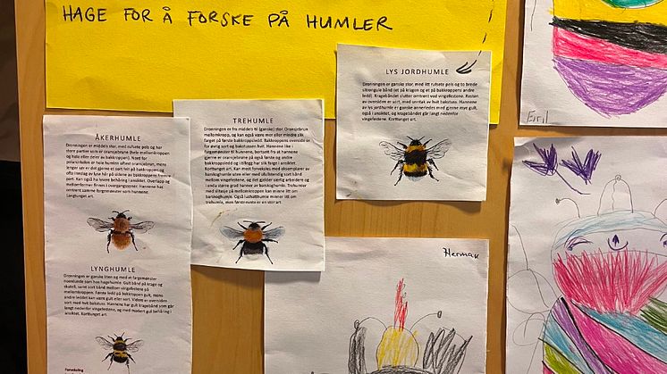 Forskerfrø Breivika studentbarnehage
