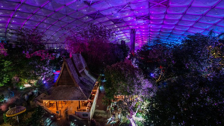 Szenische Lichtspiele beim Magischen Tropenleuchten im Zoo Leipzig - Foto: Zoo Leipzig