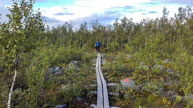 Spång mot Njunjes