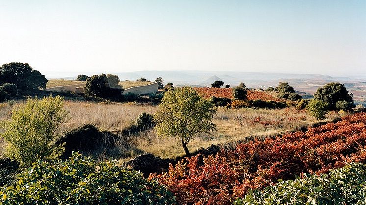 Bodega-Lanzaga_Rioja.jpg