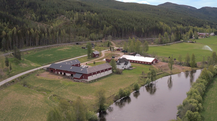 Beitefilm 1 Landet Gård i Stor-Elvdal 