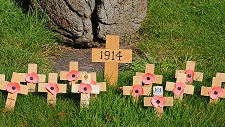 Research highlights silent warriors of First World War