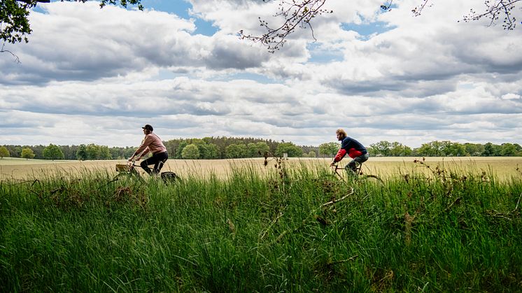 Radfahren in Brandenburg – hier findet jede und jeder seine individuelle Tour. Foto: Madlen Krippendorf