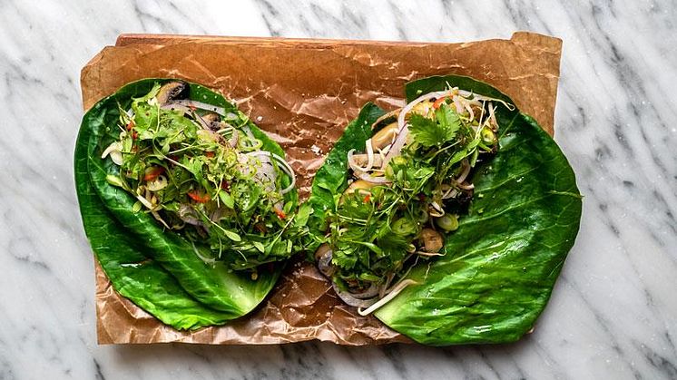 Årets rätt 2019 - Kåltaco