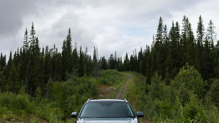 Kia Sorento PHEV MY2025