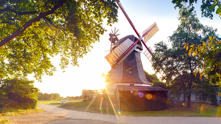 Worpswede: Vindmølle i Teufelsmoor i Niedersachsen© TMN GmbH / Francesco Carovillano