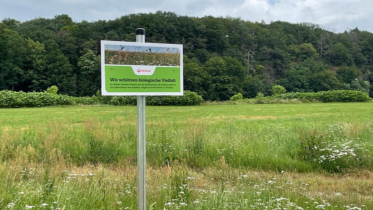 Aktionen für mehr Artenvielfalt an Veolia Standorten / Veolia Stiftung unterstützt weiterhin das Projekt Bunte Biomasse