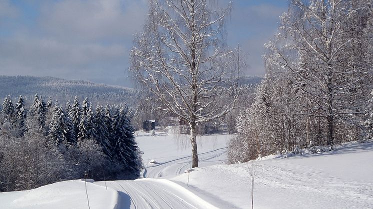 KSLA har valt in 23 nya ledamöter, varav 7 i Jordbruksavdelningen. Foto: Ylva Nordin.