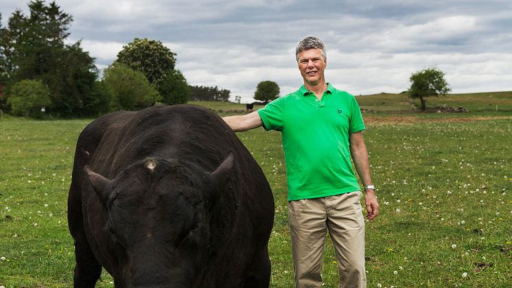 Magnus Selin, direktör FoodSolutions