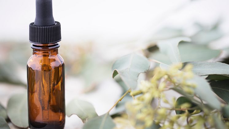 Essential oils sector ready for REACH challenge