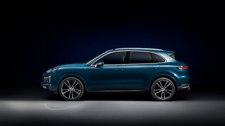 Cayenne_Basis_exterior_seite_Kopie_highres