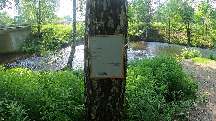 Poesi i Å-rummet. Foto: Säters kommun