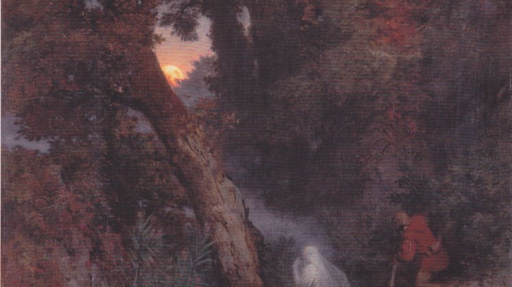 MFA24 6
