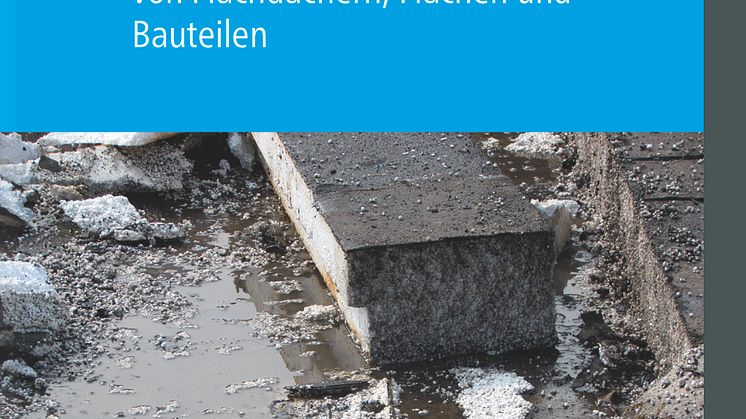 Schäden an Abdichtungen (2D/tif)