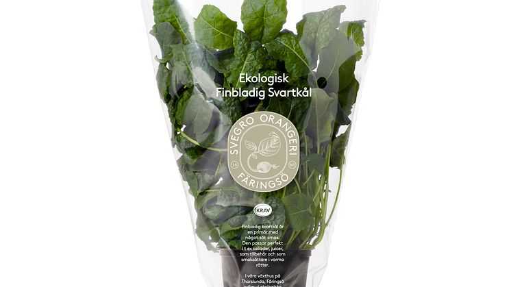 Svegro Ekologisk Svartkål