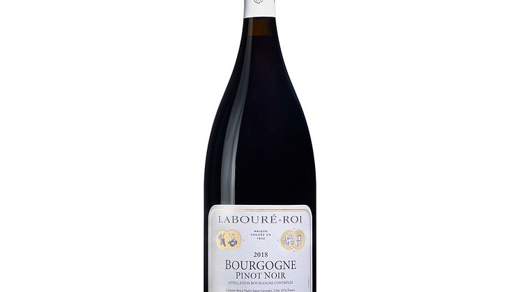 Bourgogne Pinot Noir MAGNUM