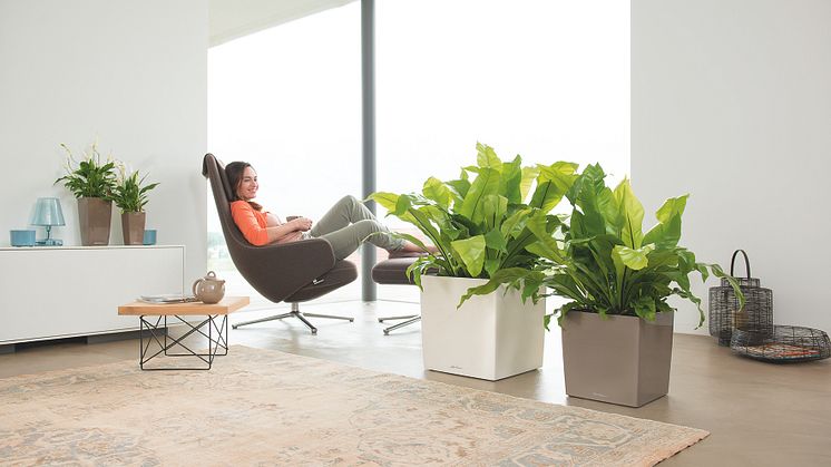 Die neuen CUBEs 30 & 50: Premium in Design, Lack & Funktion