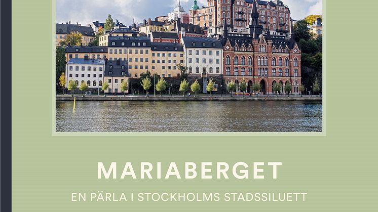 ​Träkåkar, vidunderlig utsikt och en historisk brand – det handlar om Stockholms hetaste stadsdel