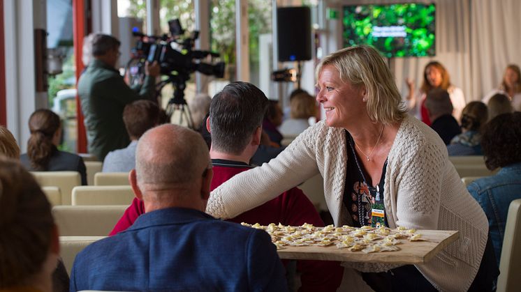 Knäckebröd bakat på mjöl från fossilfri mångfaldsgård