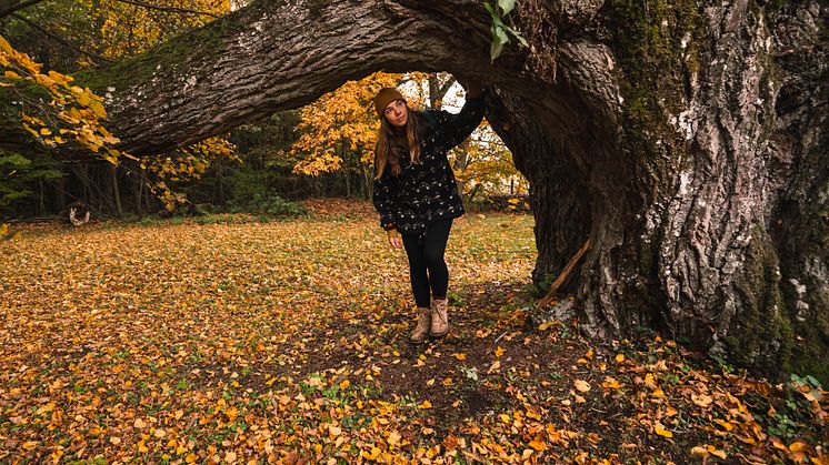 Wanderin an einem alten Baum