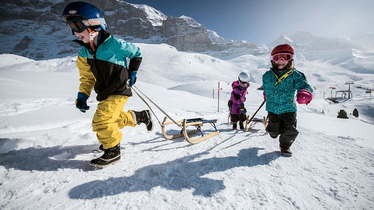 Kleine Scheidegg Kinder Schlitteln Eiger Run