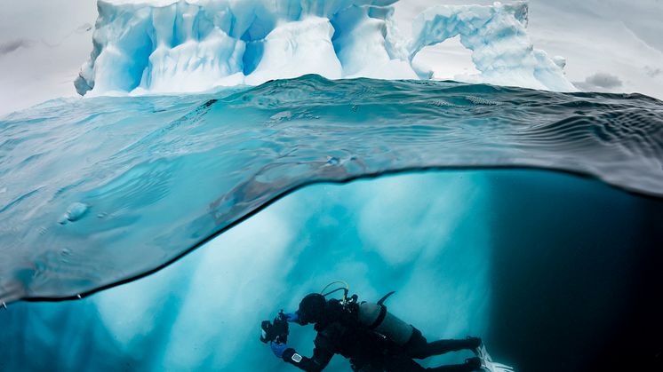 2.3.P.2.Pristine Seas, National Geographic  cr_Jordi_ Chias