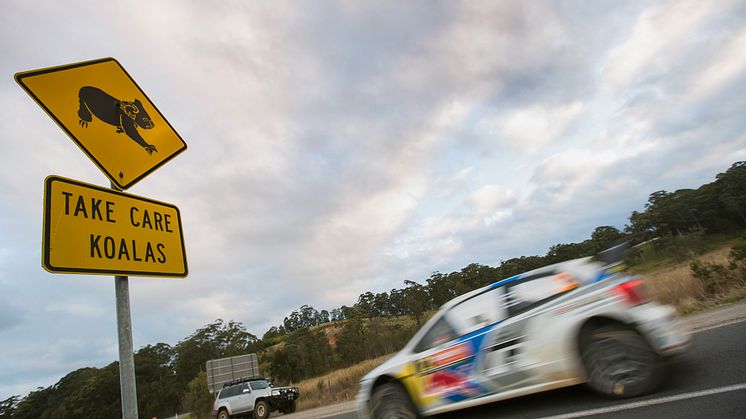 WRC-vinder 2014