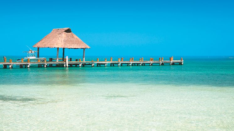 1 Isla Contoy, Mexico