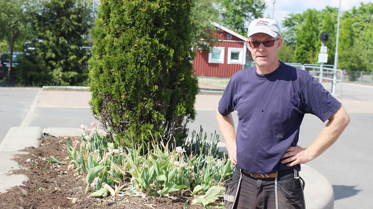 Jörgen Andersson vid en av planeringarna där det stulits blommor.