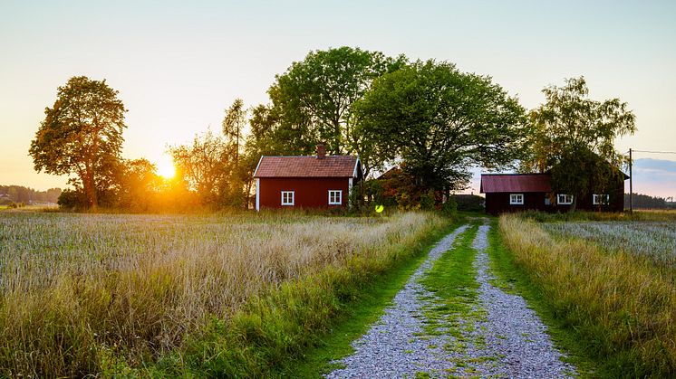 Tjäna tusentals kronor på att hyra ut stugan i sommar