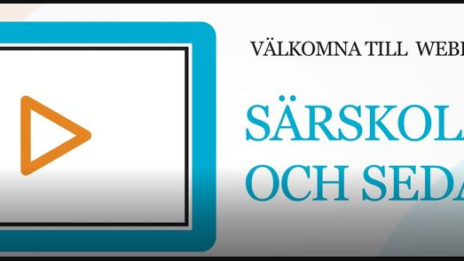 Webbinar - Gymnasiesärskolan - men vad händer sen?